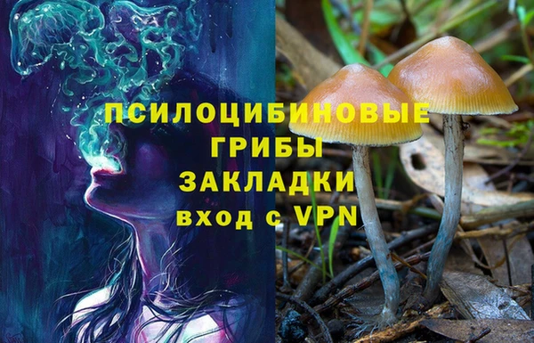 гидра Заводоуковск